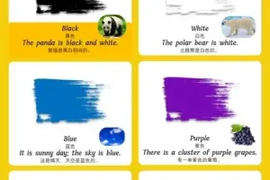 儿童英语启蒙：零基础单词卡全集，涵盖多领域基础词汇