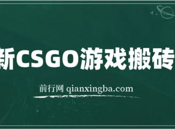 最新CSGO游戏搬砖项目：小白零基础月入过万（附教程+软件）
