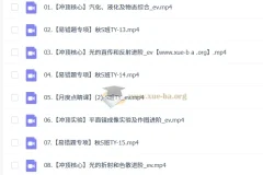 何勇 2025 – 2026 初中初二物理 S 班（秋下）课程