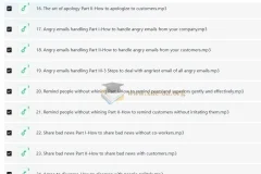 Wise Email Writing商务英语邮件写作系列课程
