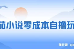 番茄小说零成本半自动自撸玩法：低播放量亦可获利