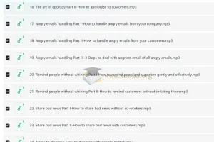 Wise Email Writing商务英语邮件写作系列课程