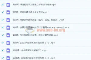 税务主管私教班-财会成长学苑（完结课程）