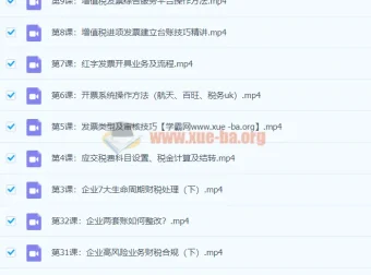 税务主管私教班-财会成长学苑（完结课程）