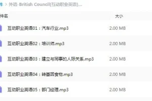 有声书《British Council 互动职业英语》全30集（Joyce 演播）