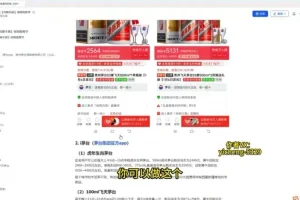 2023全平台抢茅台实战指南：从入门到精通课程
