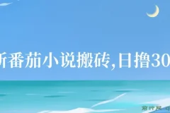 最新番茄小说搬砖项目：全自动操作，日收益可达300＋