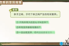 洋葱学院小学科学3-6年级动画精品课程