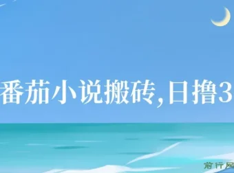 最新番茄小说搬砖项目：全自动操作，日收益可达300＋