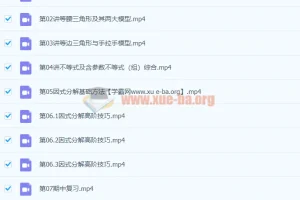 刘岩初二数学2021年春季北师大尖端课程