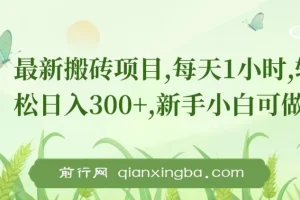 最新0门槛搬砖项目：新手小白轻松上手，日入300+