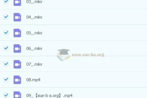 【2023寒春】四年级 小学语文 张弛 A+