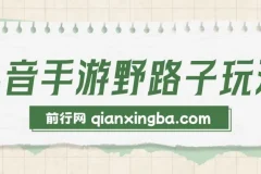 抖音手游野路子玩法：单视频高收益项目介绍