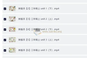 过目不忘小学英语单词海报课程