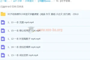 叶子老师小学语文学霸课堂