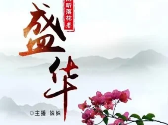 完结有声小说《盛华》465集