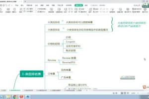 亚马逊爆款广告打法全攻略：从0到2W单实战课程