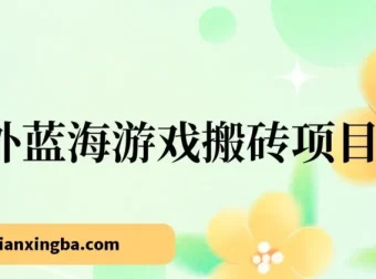 海外蓝海游戏搬砖项目：单机日入可观，兼职副业优选
