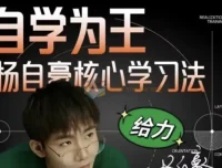 杨自豪小初高高效学习课程合集
