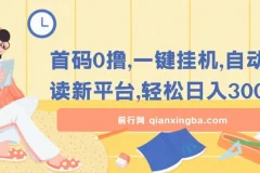 首码0撸：一键挂机自动阅读新平台，上班族学生党宝妈碎片化赚钱项目