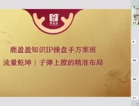 知识IP爆品发售双阶班：打造爆款与高效发售课程