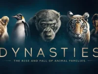 BBC纪录片《王朝 Dynasties》英文版全5集（2018）中英双字