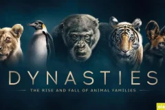 BBC纪录片《王朝 Dynasties》英文版全5集（2018）中英双字