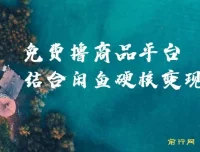 免费撸商品平台与闲鱼双平台硬核变现课程，小白轻松上手