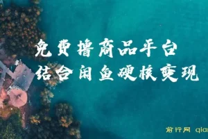 免费撸商品平台与闲鱼双平台硬核变现课程，小白轻松上手