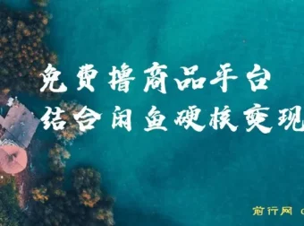 免费撸商品平台与闲鱼双平台硬核变现课程，小白轻松上手