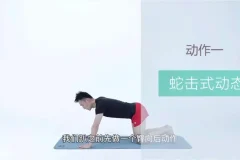 21天明星同款减脂塑形训练：精准训练，打造天鹅臂与小蛮腰
