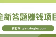 全新答题赚钱项目全套教程：小白可入手操作
