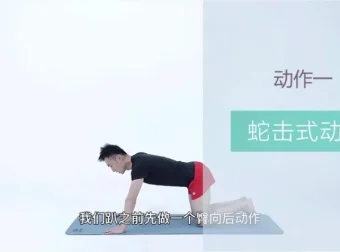 21天明星同款减脂塑形训练：精准训练，打造天鹅臂与小蛮腰