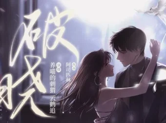 有声小说《破晓》：阿司匹林新作，养喵的刺猬倾情播音（97集完结）