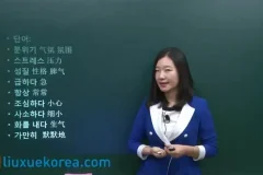 零基础韩语学习大合集：14套课程，全面覆盖韩语发音至TOPIK考试