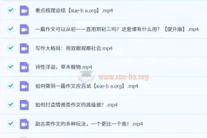 玉米老师作文专题课【提升版】