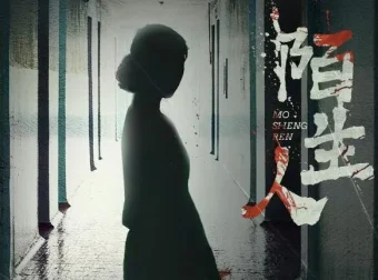 有声小说《陌生人》：陈研一首部女性悬疑力作，53集完结