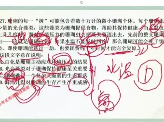 2024大懒猫言语强化课二期：高效提升言语理解与表达技巧