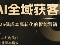 AI全域获客实训营：2025年低成本高转化的智能营销课程
