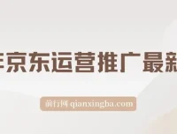 25年京东运营推广最新玩法：小白轻松上手，日入2000+