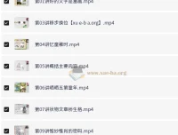 高巍巍小学语文四年级秋季课程