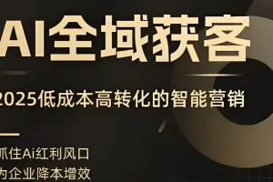 AI全域获客实训营：2025年低成本高转化的智能营销课程