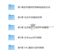 游戏漏洞挖掘实战教程：端游、页游、手游逆向全解析