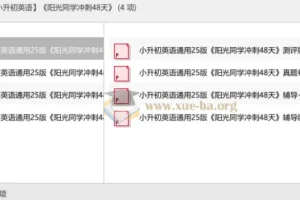 2025小升初英语冲刺：《阳光同学冲刺48天》备考资料