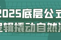 2025底层公式逻辑撬动自然流：千川投流与精准起号实战课程