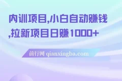 5月内训项目合集：小白自动赚钱与拉新实战教程