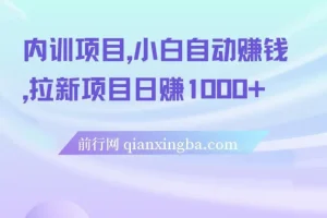 5月内训项目合集：小白自动赚钱与拉新实战教程