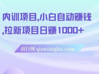 5月内训项目合集：小白自动赚钱与拉新实战教程