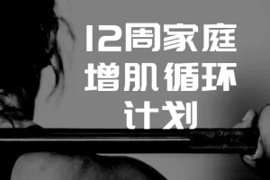 卓叔增重：12周家庭增肌循环计划【完结视频课程】