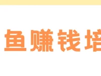 老A闲鱼赚钱培训：从0到1的系统化运营实战课
